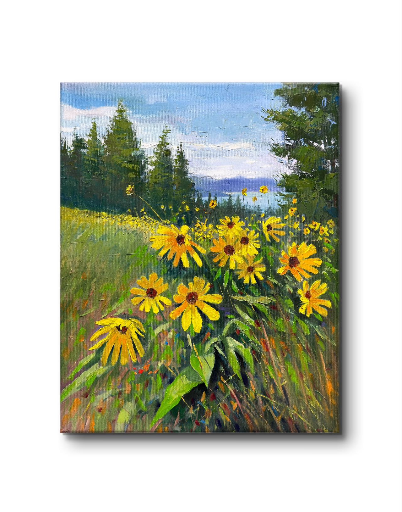 16x20" Wild yellow flowers at Knox mountain in Kelowna,BC, Canada, Original landscape oil painting art on Stretched Canvas