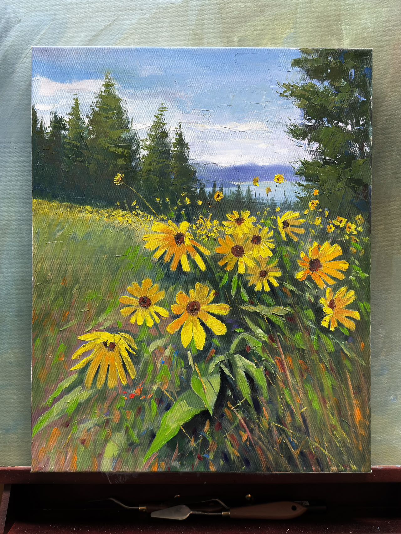 16x20" Arrowleaf Kelowna's official flowers at Knox mountain in Kelowna,BC, Canada, Original landscape oil painting art on Stretched Canvas