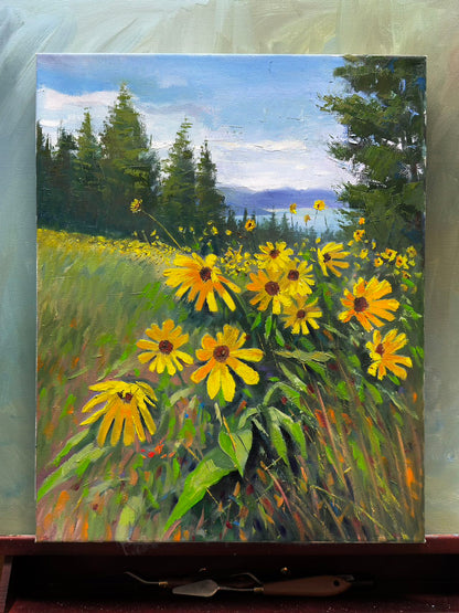 16x20" Wild yellow flowers at Knox mountain in Kelowna,BC, Canada, Original landscape oil painting art on Stretched Canvas