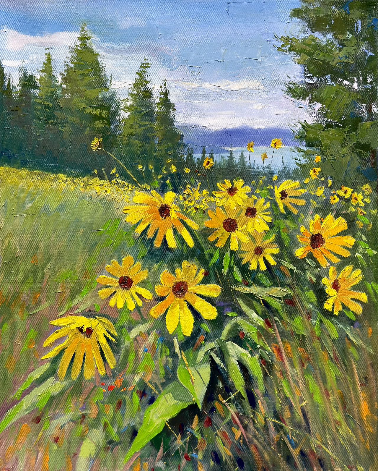 16x20" Wild yellow flowers at Knox mountain in Kelowna,BC, Canada, Original landscape oil painting art on Stretched Canvas