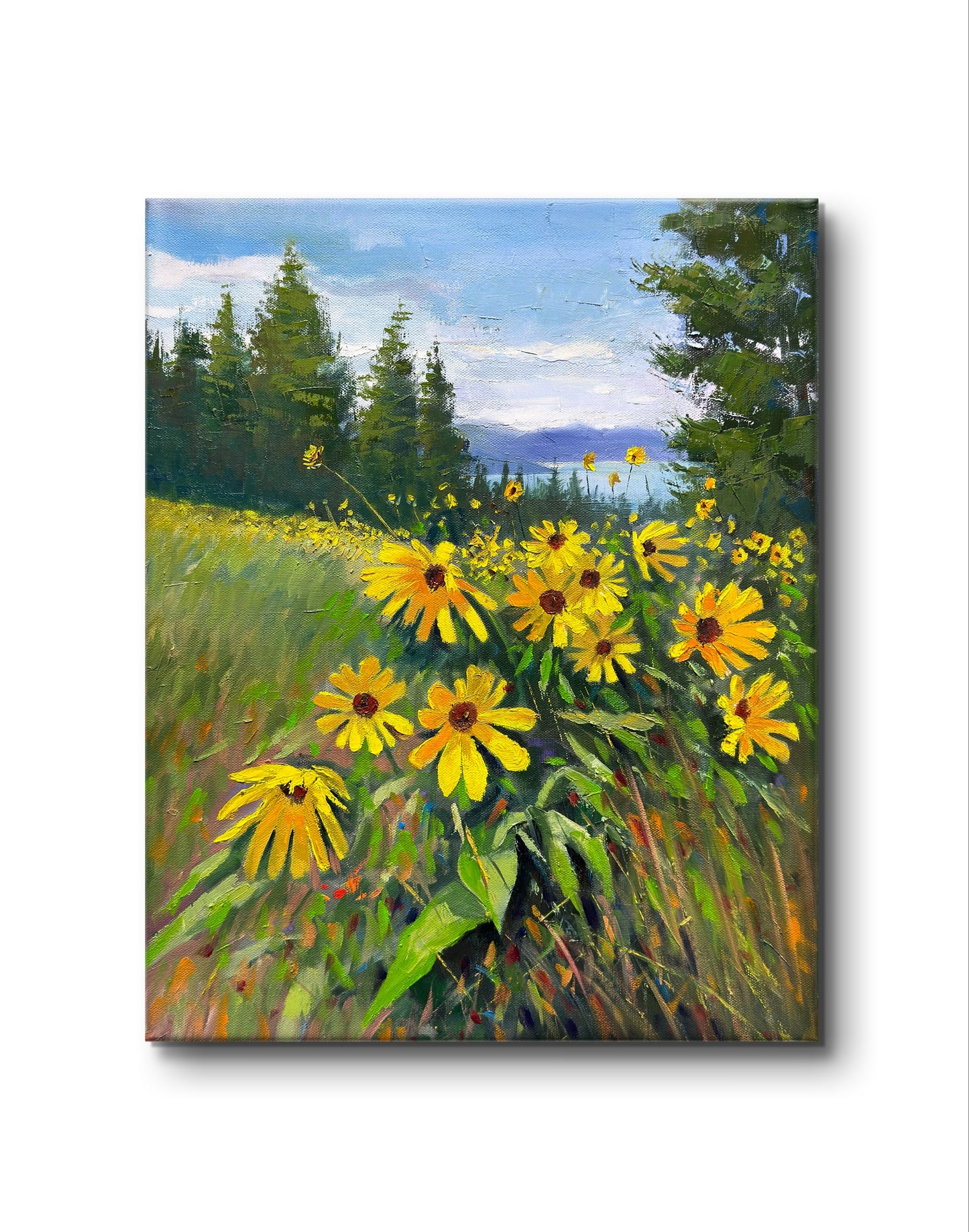 16x20" Wild yellow flowers at Knox mountain in Kelowna,BC, Canada, Original landscape oil painting art on Stretched Canvas