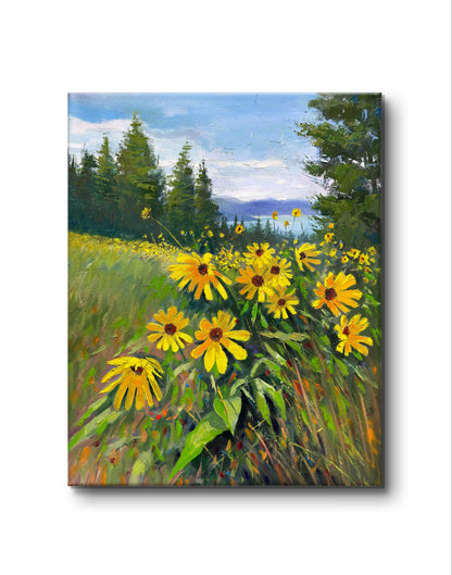 16x20" Arrowleaf Kelowna's official flowers at Knox mountain in Kelowna,BC, Canada, Original landscape oil painting art on Stretched Canvas